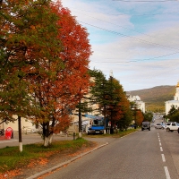 gallery_pitnet_ru_1442495558