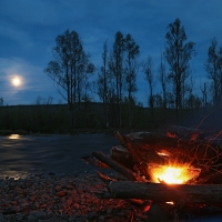 gallery_pitnet_ru_1402828669