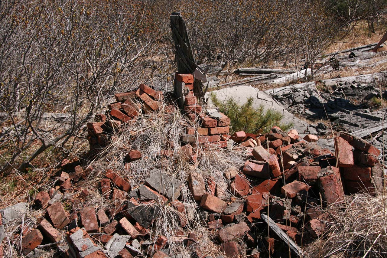 Остатки кирпичной печи на развалинах дома. 2010 год.