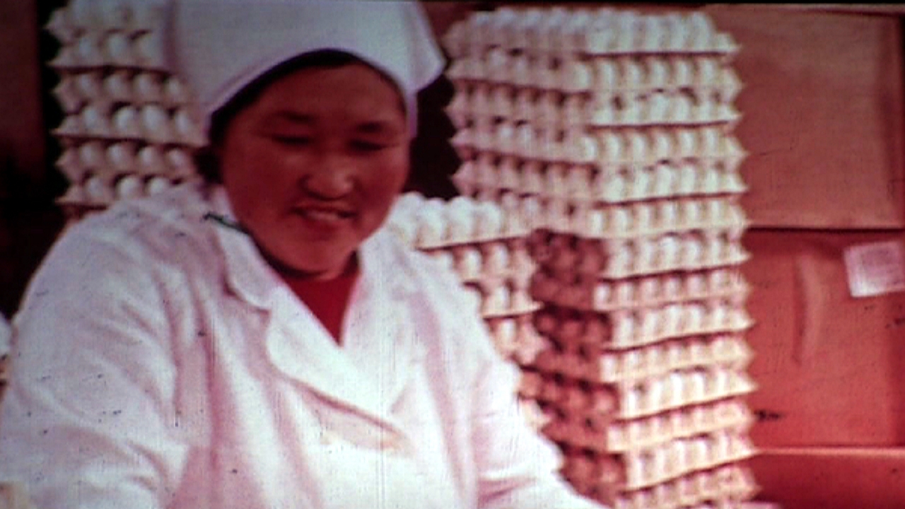 Дукчинские яйца. 1981 год.