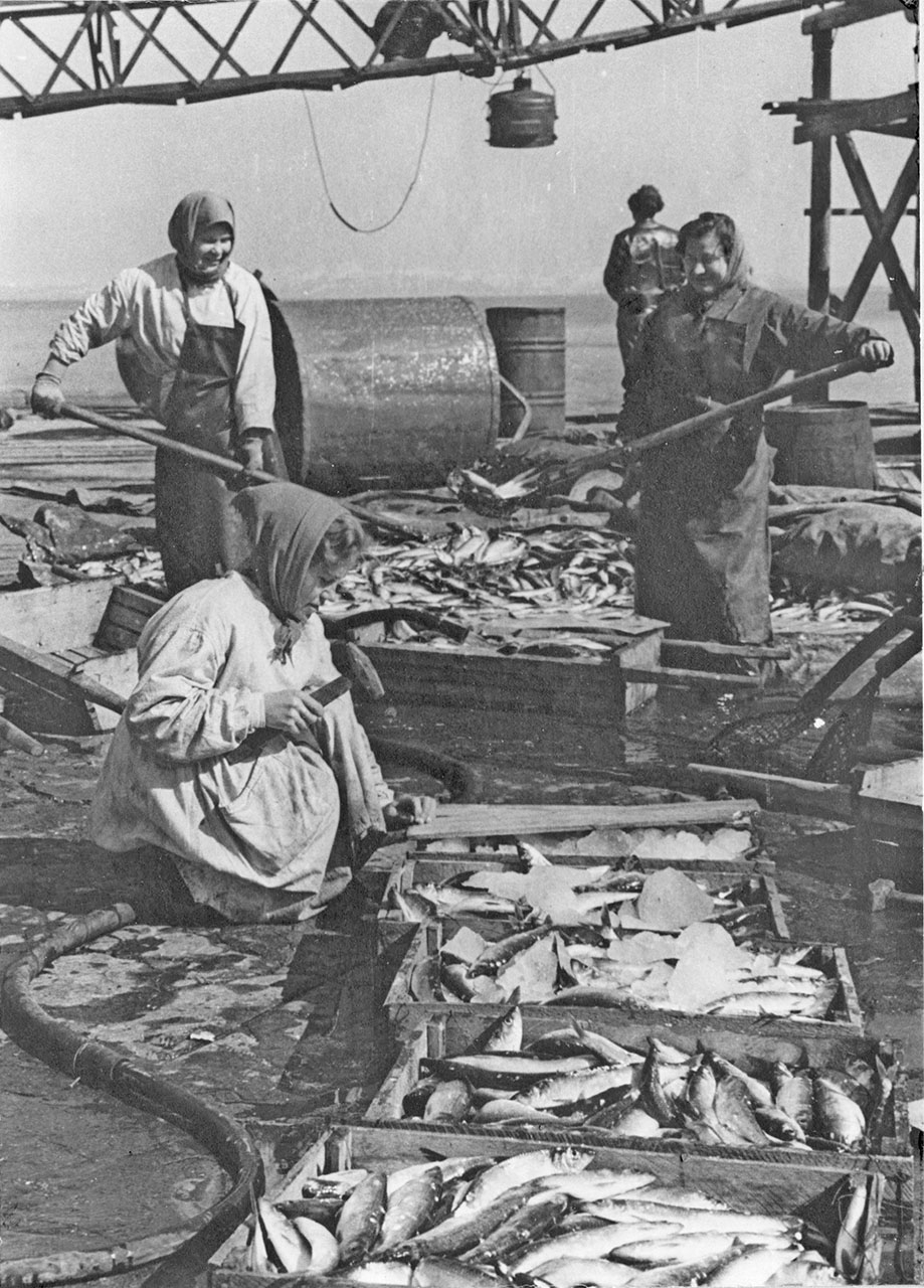 На Усть-Магаданском рыбозаводе.