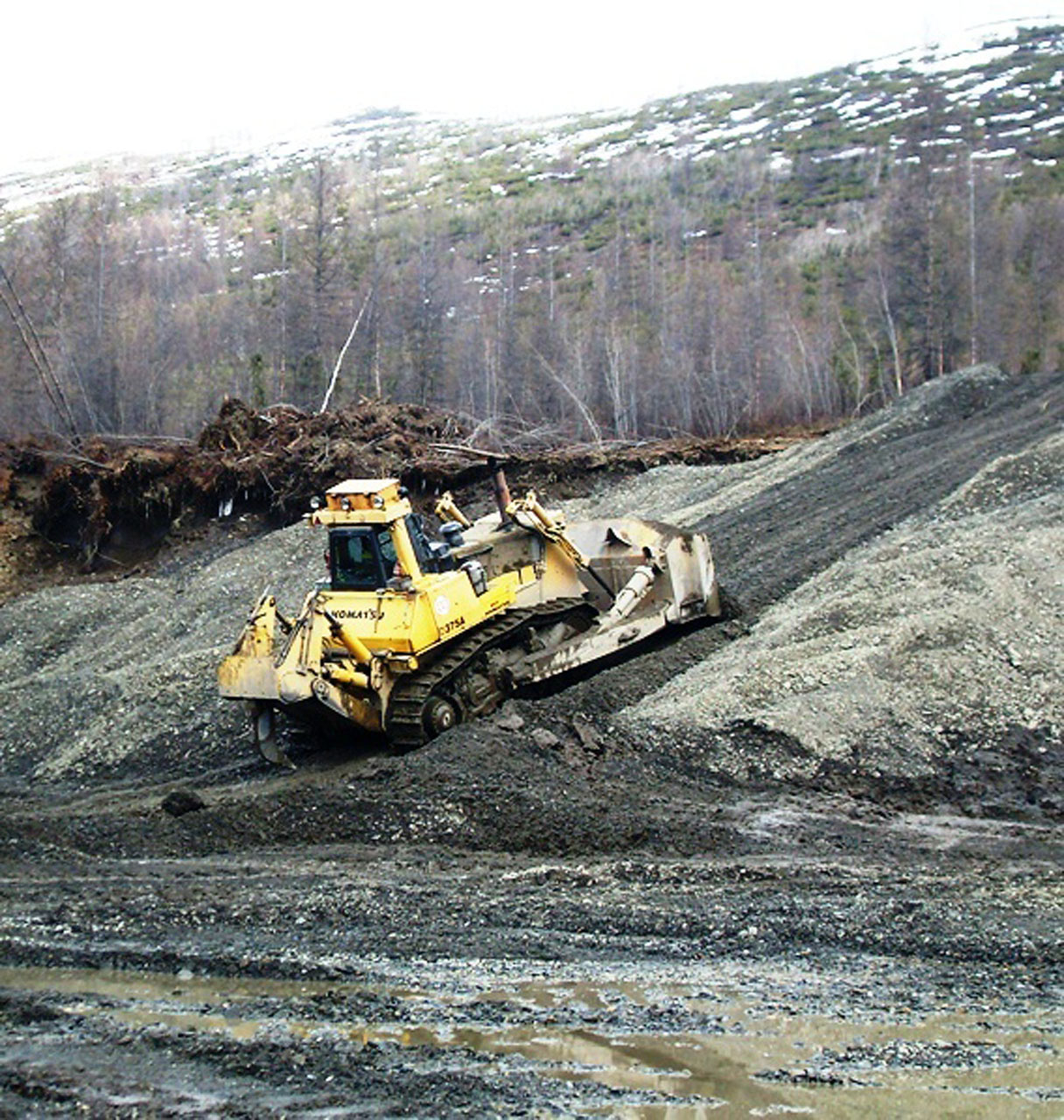 Доклад по теме Bulldozer