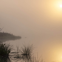 gallery_pitnet_ru_1414552719