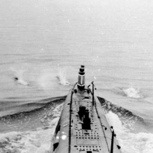 С-327 в море. Сопровождают дельфины.