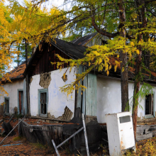 Поселок Нелькоба. 2012 год