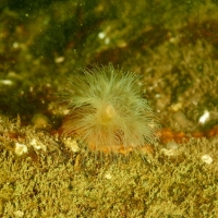 UMR_4629_1