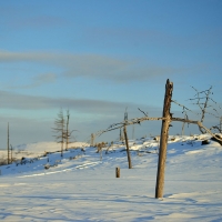 UMR_7902