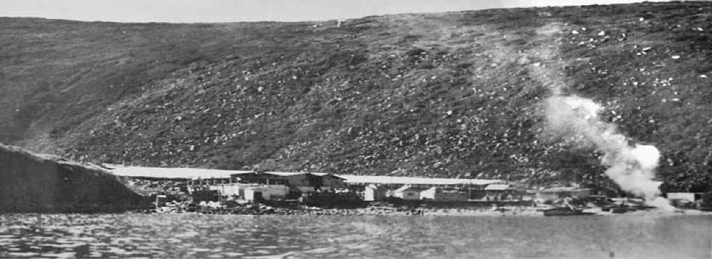 Рыбзавод на острове Завьялова в бухте Рассвет. 60-е годы 20 века.