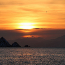 gallery_pitnet_ru_1409221875