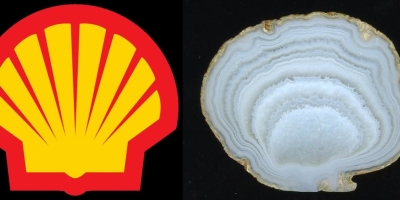 Shell. Агат, Лебединое (Ольское плато).