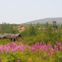 И строения не заставили ждать. Вот пожалуйста. Домик и странное деревянное сооружение. На караульную вышку не похоже, может там вода была?