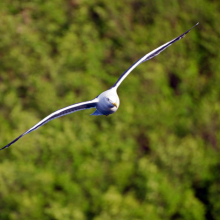 photo_1342146523