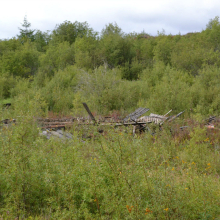 Поселок Стрелка. 2013 год