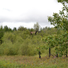 Поселок Стрелка. 2013 год