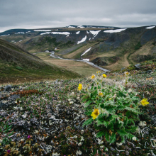 gallery_pitnet_ru_1383469473