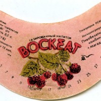 bock_1