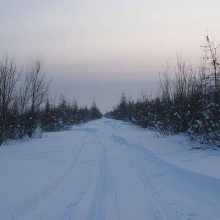 Поселок Глухариный