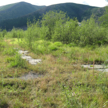 Поселок Берелёх. 2008 год. В парке напротив клуба ещё кое-где видны остатки дорожек