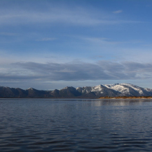gallery_pitnet_ru_1433068302