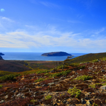 gallery_pitnet_ru_1396953924