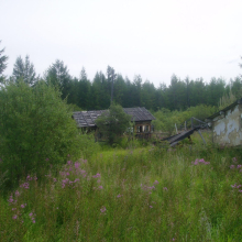 Мылга. Фото И. Паникарова. Август 2007 года.