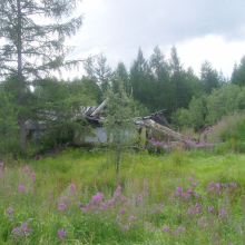 Мылга. Фото И. Паникарова. Август 2007 года.