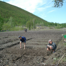 Поселок Стан-Утиный (Утиный). Огороды на месте, где были магазин и столовая.